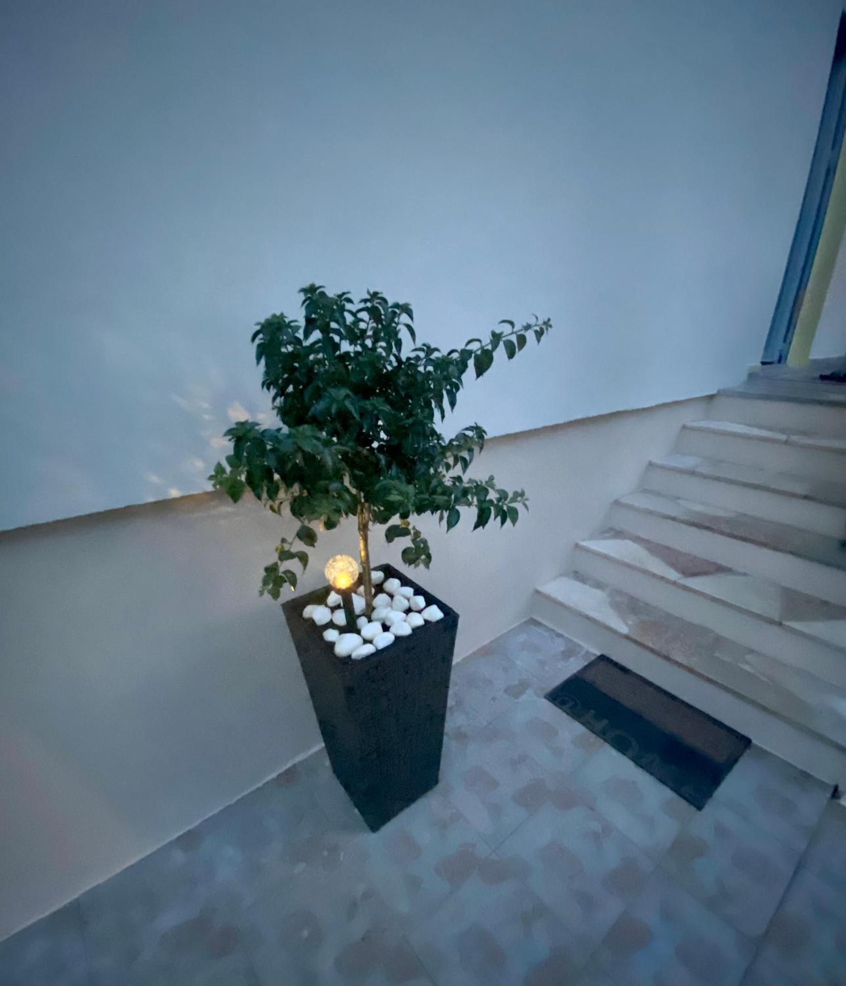 Lumar Holidays And Apartments プレコ エクステリア 写真